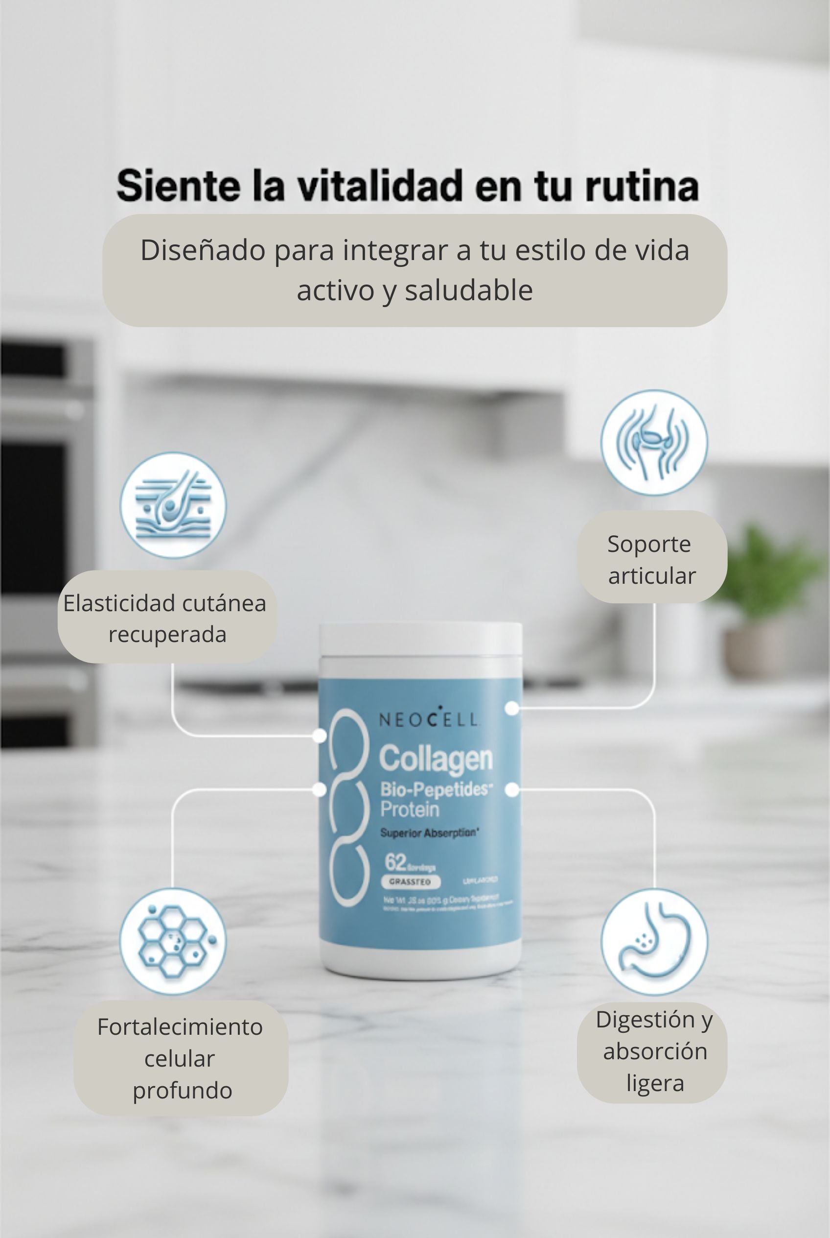 Encabezado