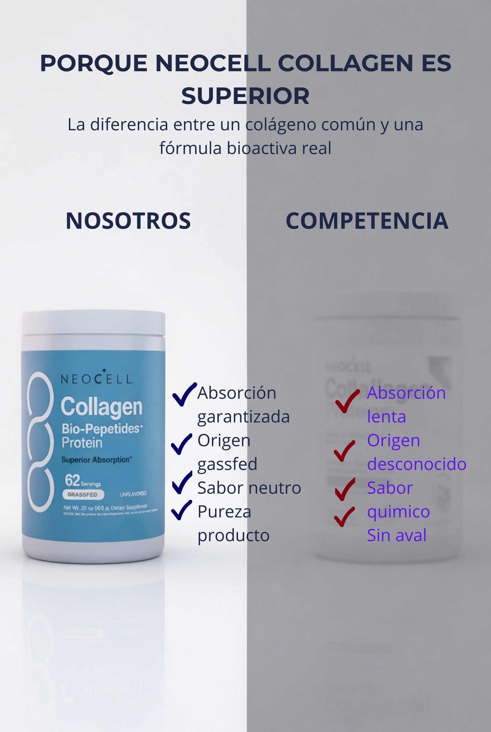 Encabezado